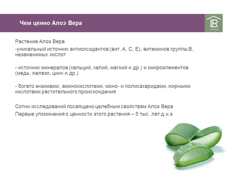 Чем ценно Алоэ Вера Растение Алоэ Вера уникальный источник антиоксидантов (вит. А, С, Чем ценно Алоэ Вера Растение Алоэ Вера уникальный источник антиоксидантов (вит. А, С,